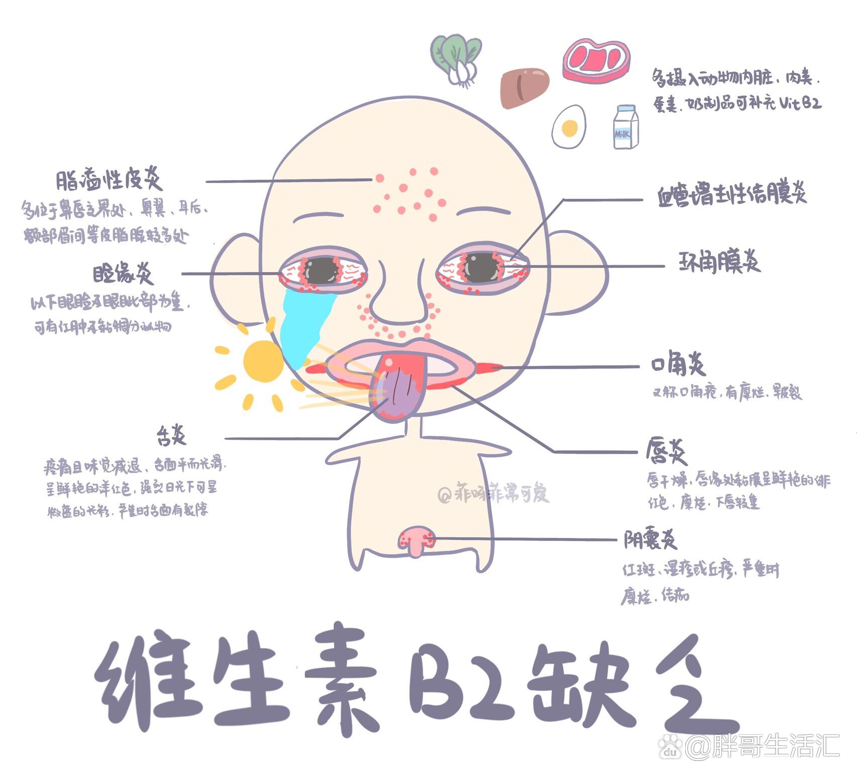 维生素B族缺乏症状 如何正确补充维生素B族
