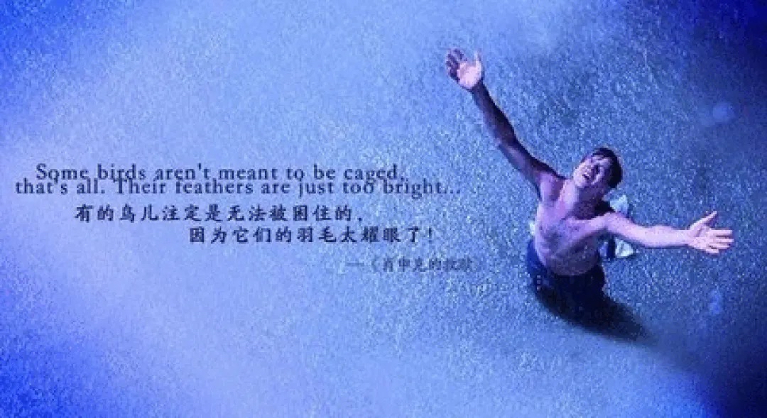 免于客套的自由