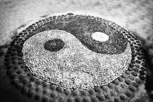 全国龙凤茶楼论坛：传统饮茶文化的当代复兴之路