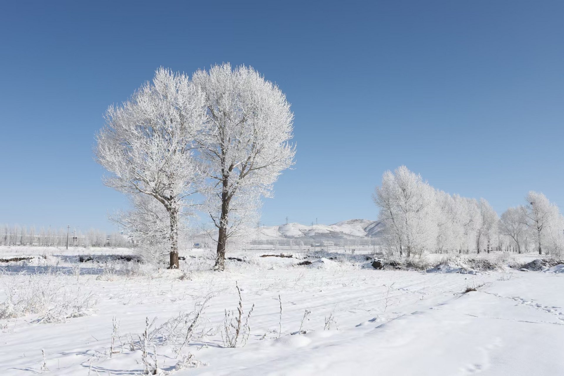 沽源网站建设案例