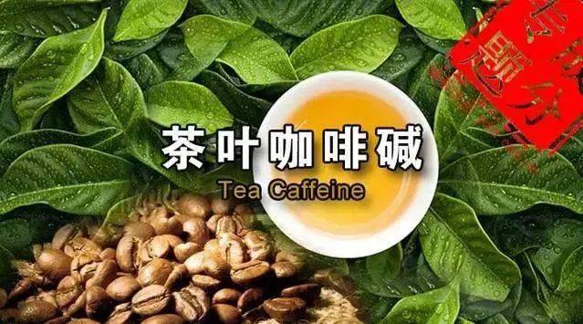 茶叶里面是不是有咖啡因 不同茶叶咖啡含量排名
