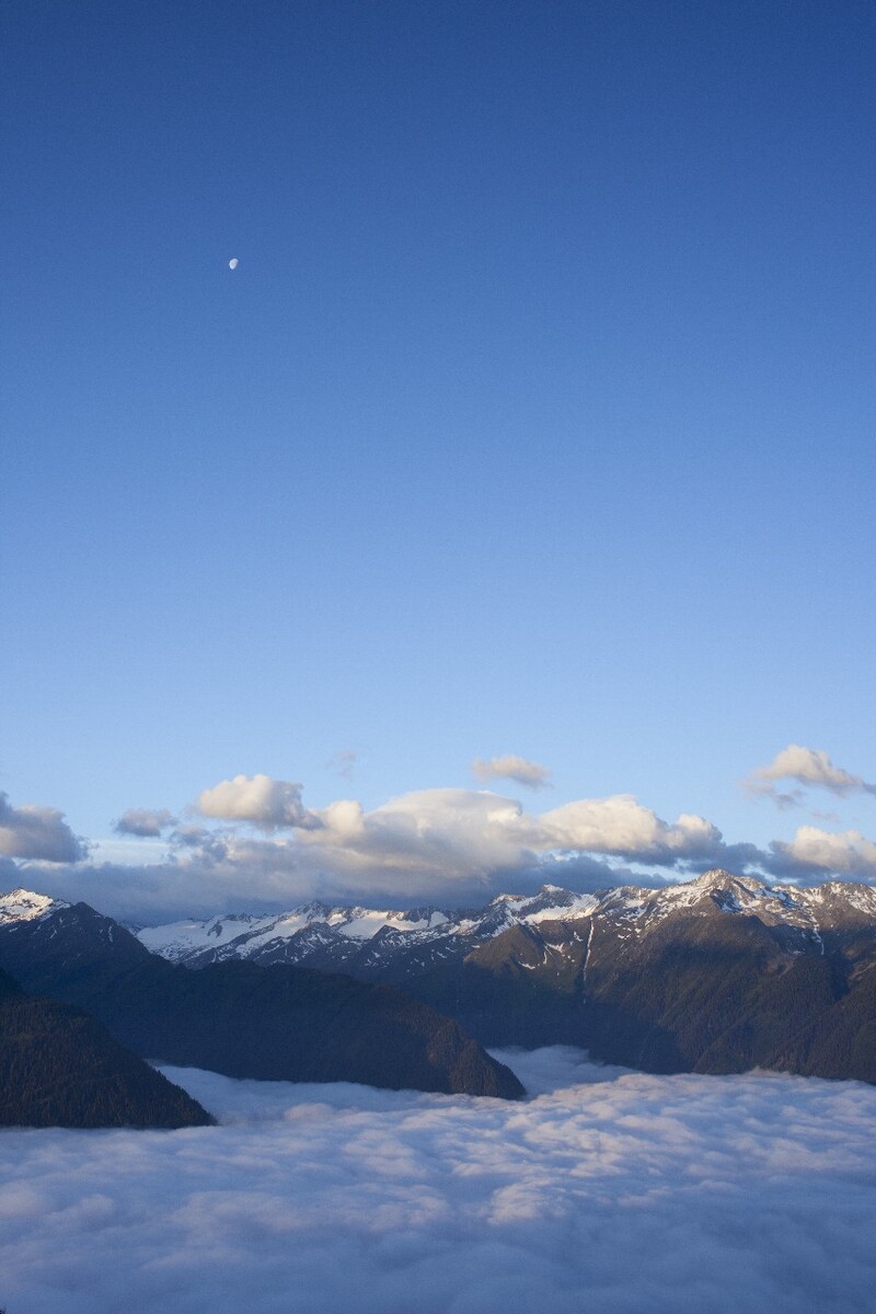 逃离加州，奔向得州：美国人口迁移背后有什么玄机？...