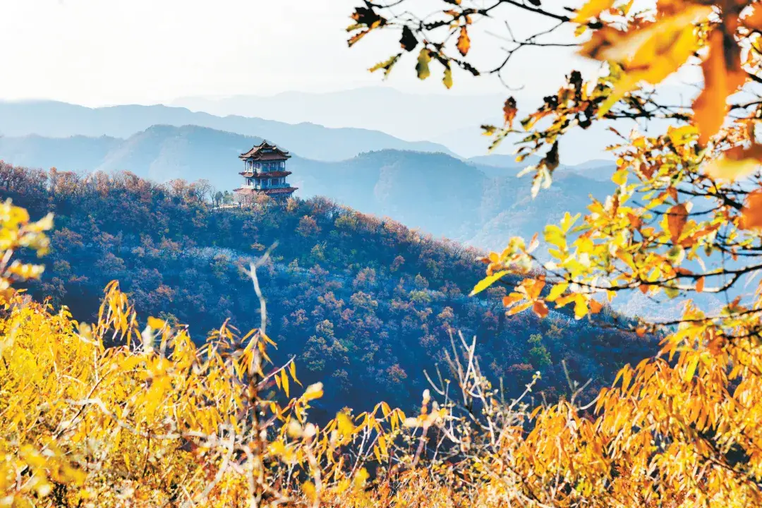 长治公寓里400全套是仙人跳吗