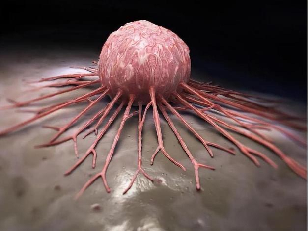 微信朋友圈经常流传一些抗癌食物,都是真的吗?...