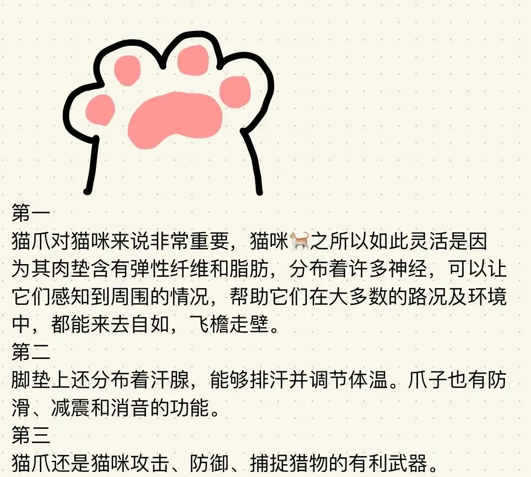 猫咪掀起经济学热潮?...