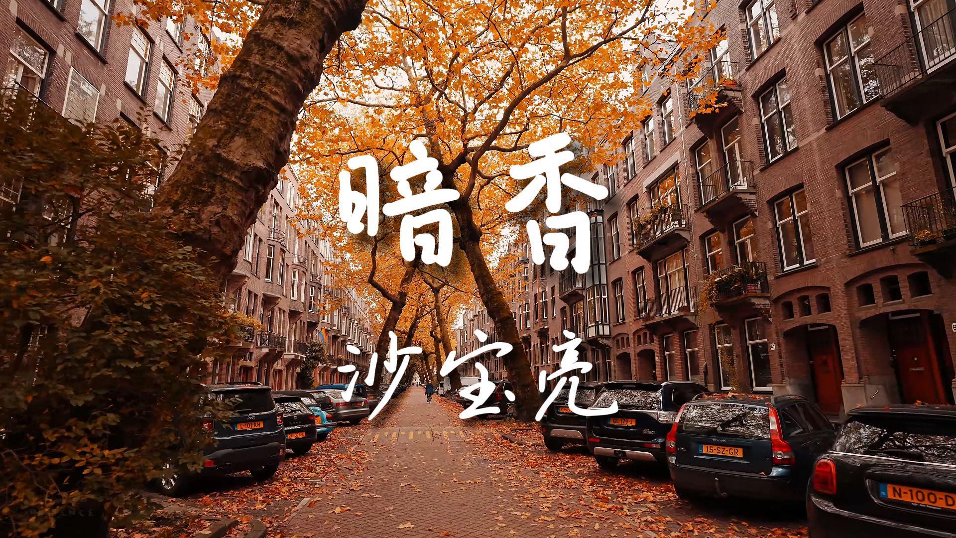 暗香歌词含义解析 金粉世家剧情回顾