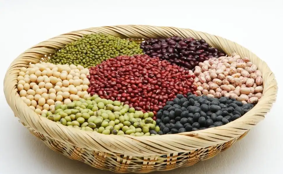 一品楼新论坛的文化价值与运营创新,传统与现代的对话平台