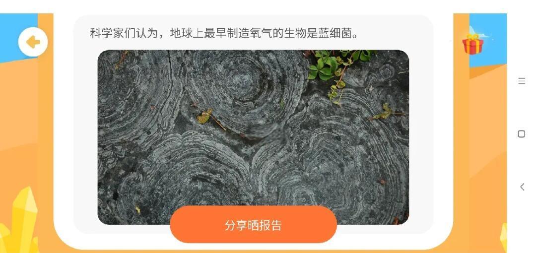 蓝藻细菌包括什么 大象为何离奇死亡