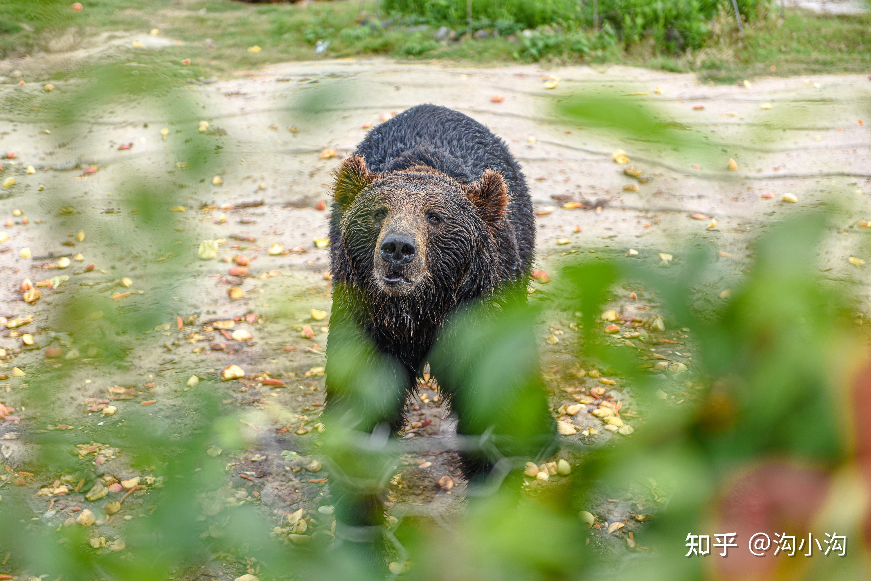 学生兼职如何省60%中介费?_附近即时结算服务全流程解析