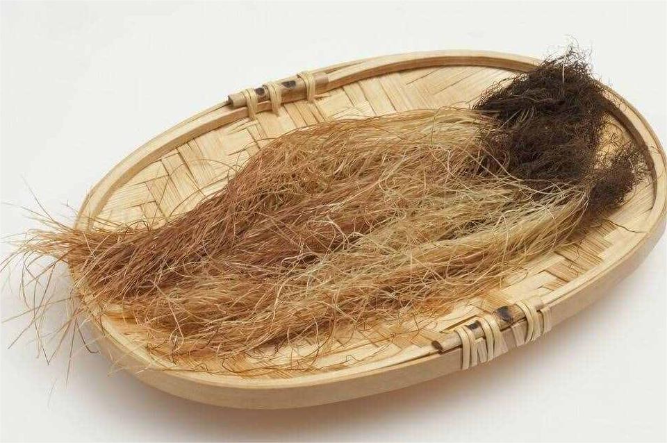 玉米须
