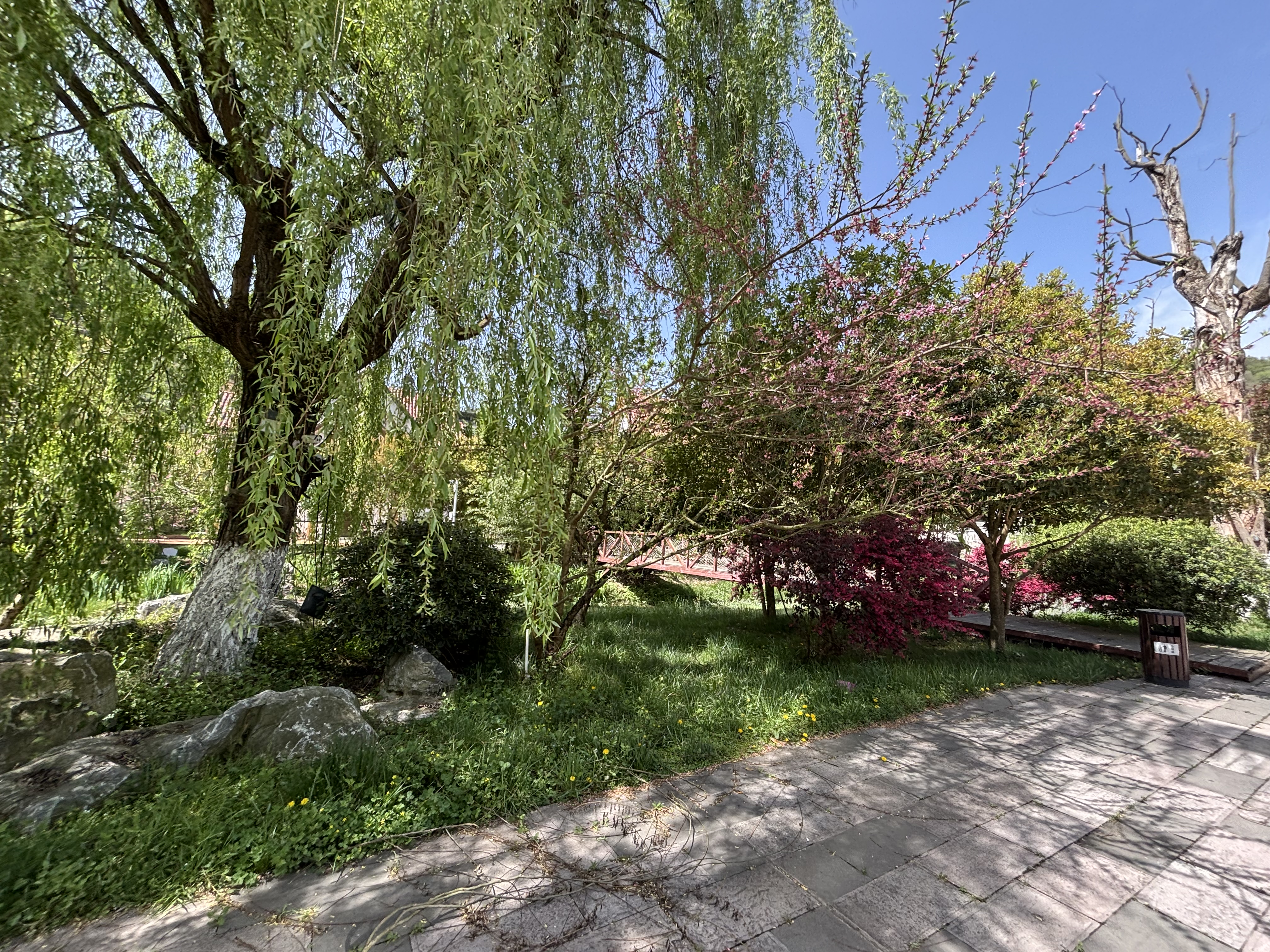 热点追踪:新津花源后街有耍的?这条街藏着2025年轻人最爱的小众玩法