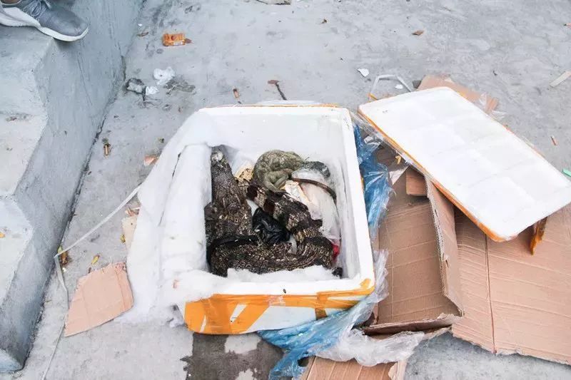 网购奇葩经历 植物吸甲醛真相