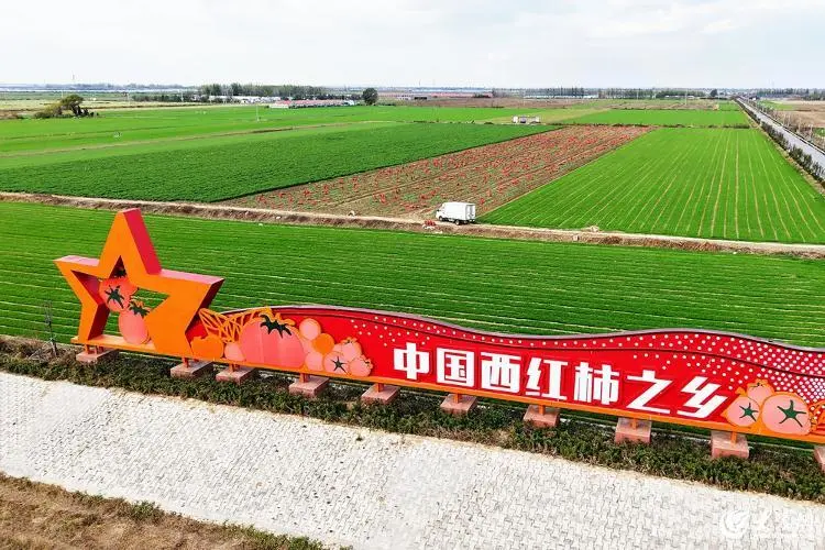 为什么“家集”是中国独有的文化现象?...