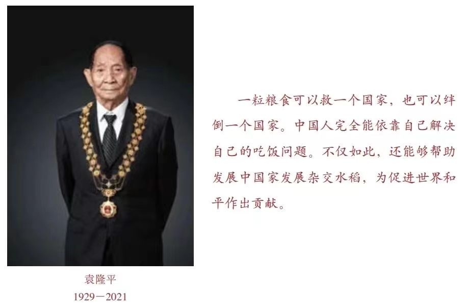 袁隆平的事迹简短