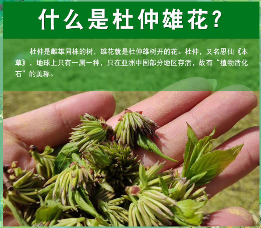胶原蛋白究竟为何物?对于爱美人士来说,它是美丽救星...
