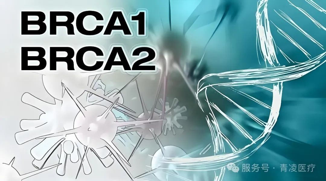 为什么突变基因能揭开“秘密犹太人”之谜?...