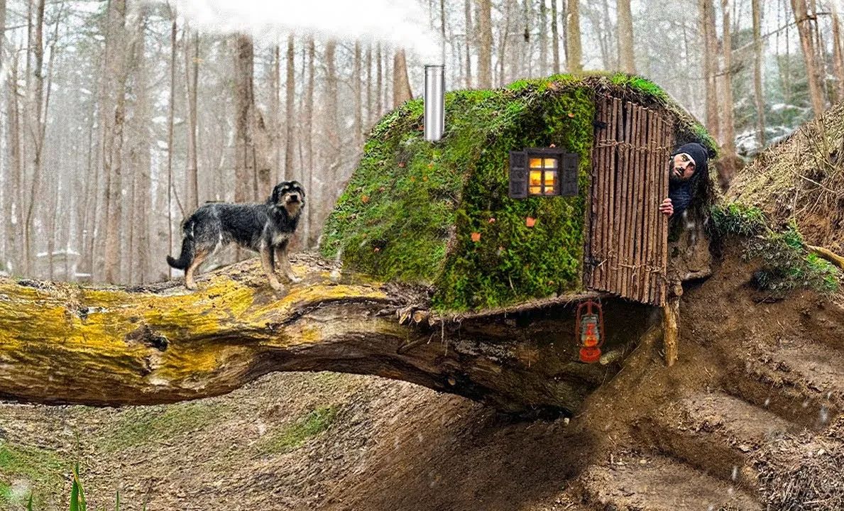 美国政治庇护如何申请 美国绿卡被没收怎么办