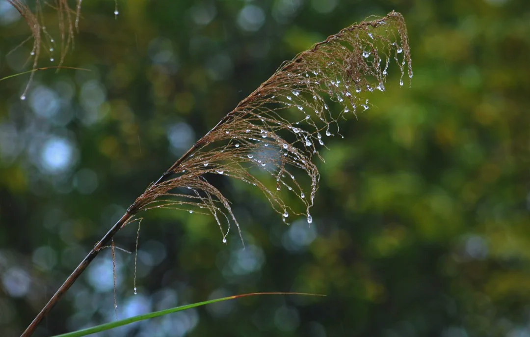 随随便便走进一座寺庙，门推开处，怎么就皆是惊喜？...