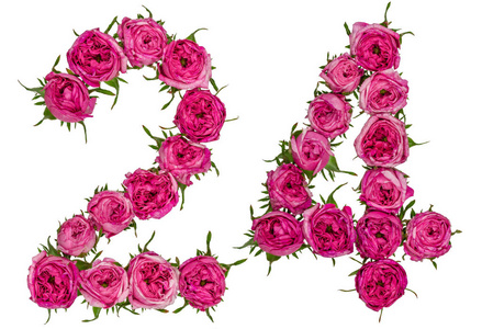 全国24小时空降600家服务的秘密与魅力揭秘与背后的故事