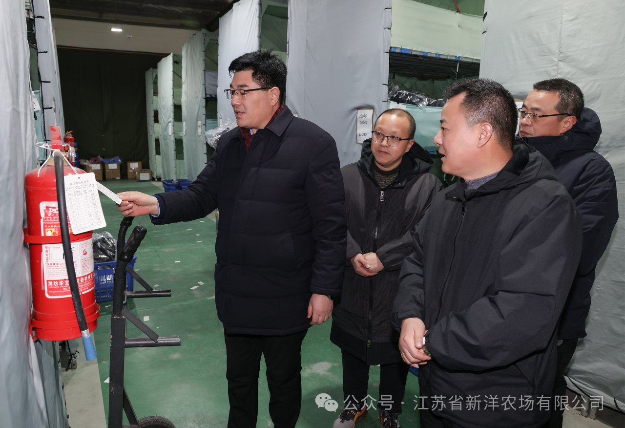 新洋黑猪奇迹科技兴农 山东特色农业有哪些