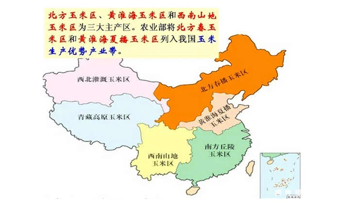 玉米产地