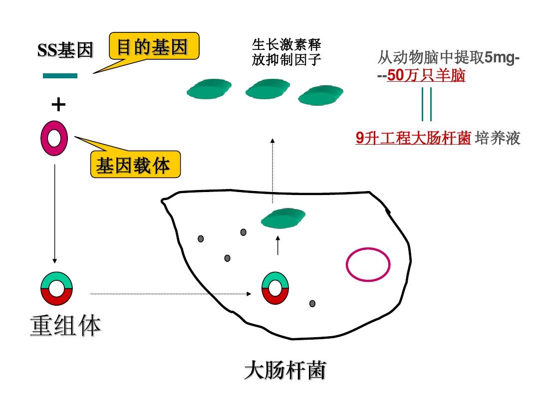 两个物种,两次接触,一个基因就交换了?...