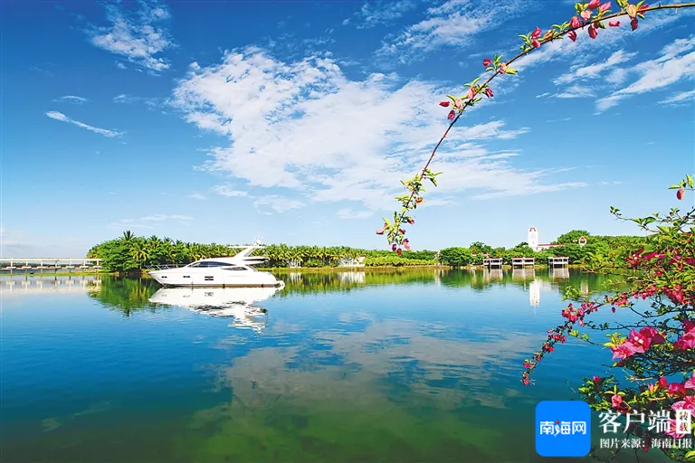 定安约100元4小时电话服务全解析