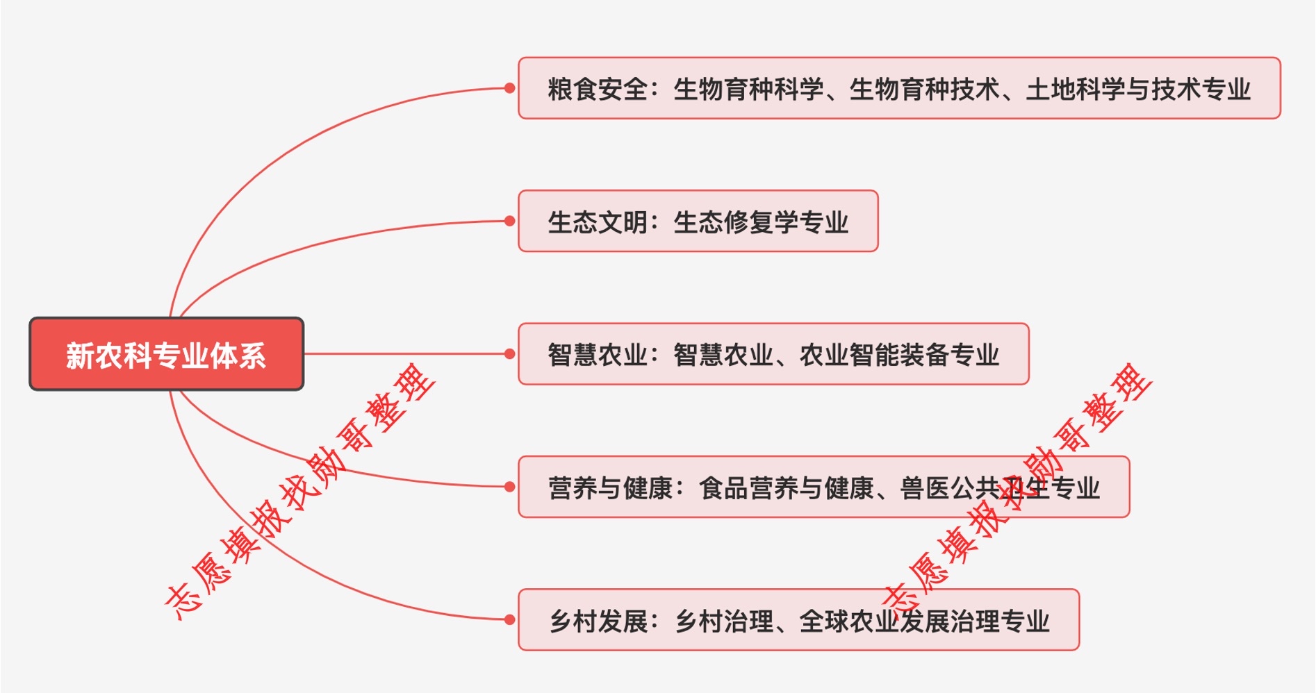 农业项目有哪些