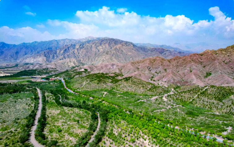 石嘴山大学城服务深度解析与考察