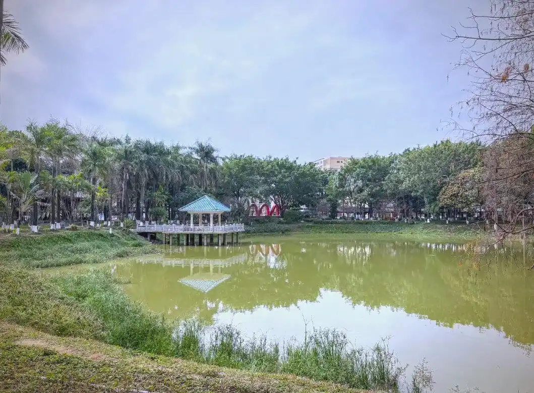 接受调查：东莞园洲特殊服务真的靠谱吗？实地走访后的真相大揭秘