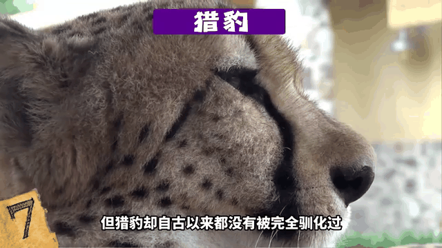 当东方不再接受西方的审美“驯化”，发生了什么...