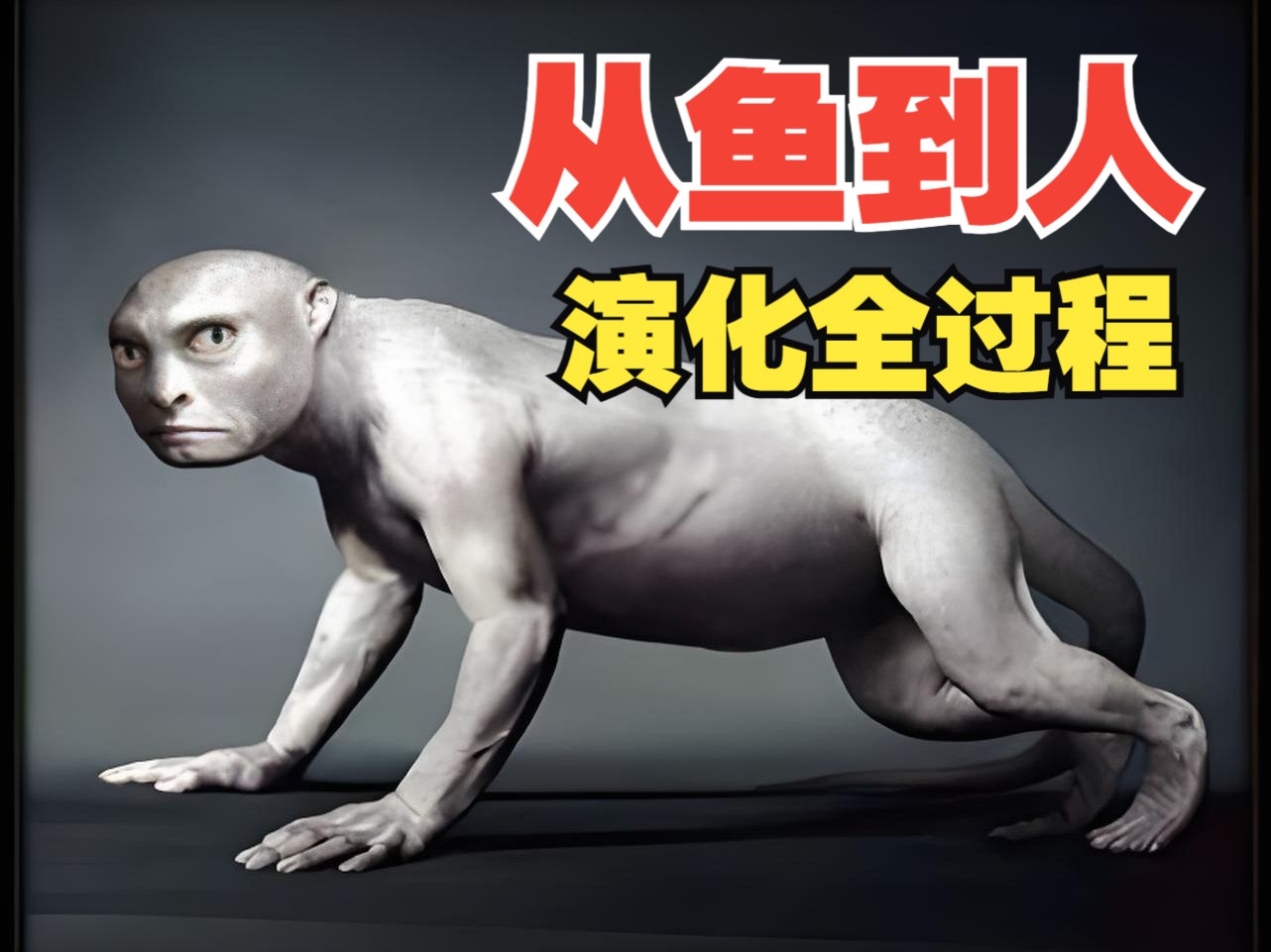 鱼类进化成人类的历程 人类祖先与鱼类的关联