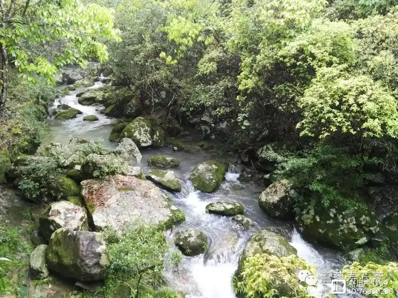 重大消息揭秘：广州白云区蒲友论坛到底靠不靠谱，真实体验全解析