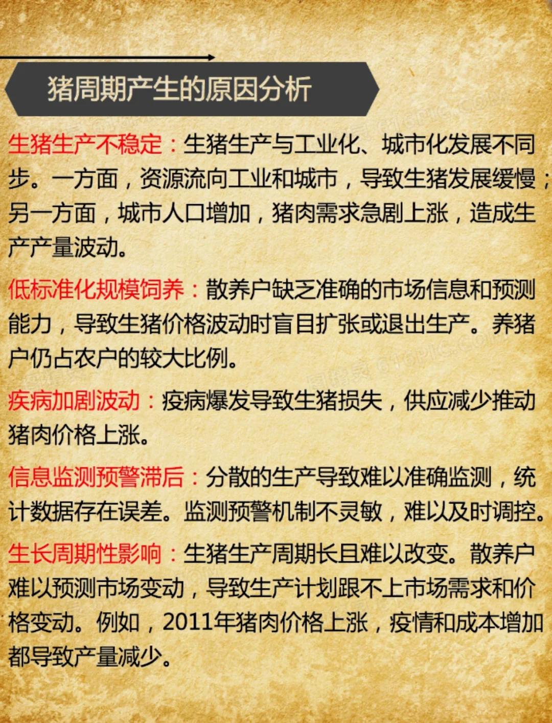 毛猪200-300斤大猪今日行情