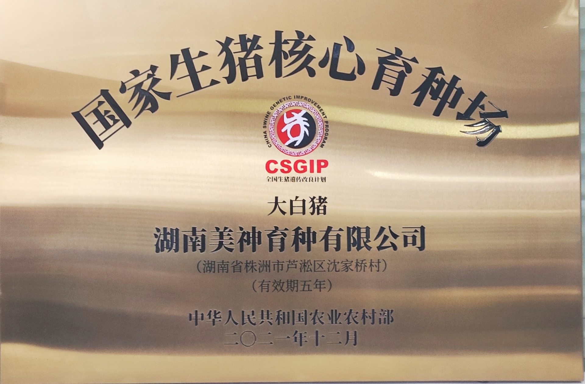 种猪场