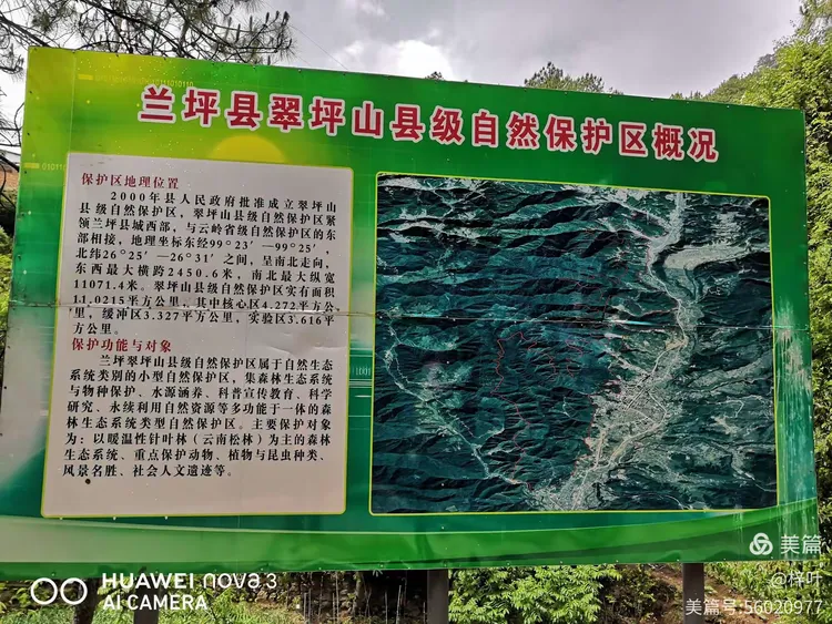坪山鸡窝一条街搬迁去向调查与原址新址全面对比分析