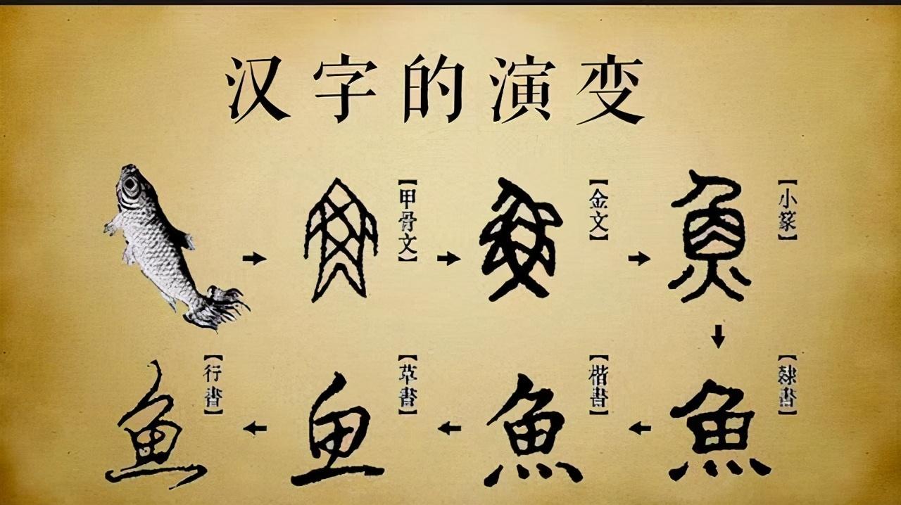 网络流行语大揭秘 常用符号用法解析