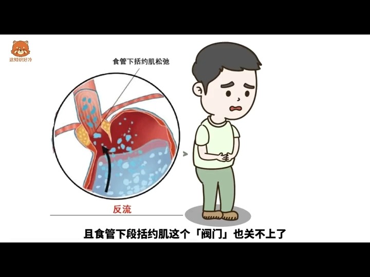 禁食减肥效果如何 最新研究揭示真相