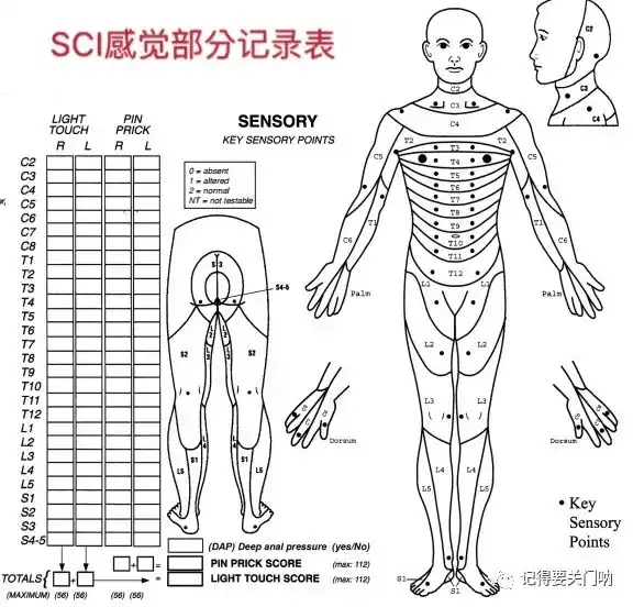 客户分级的案例