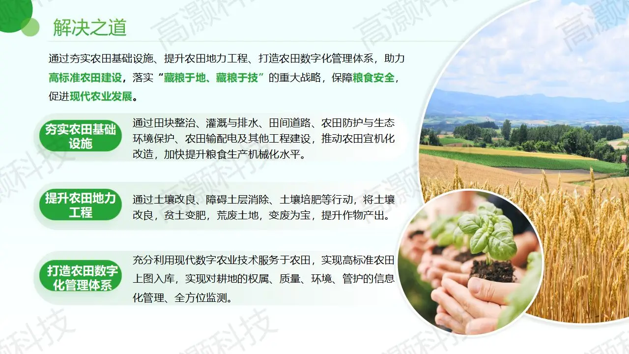 农业项目有哪些