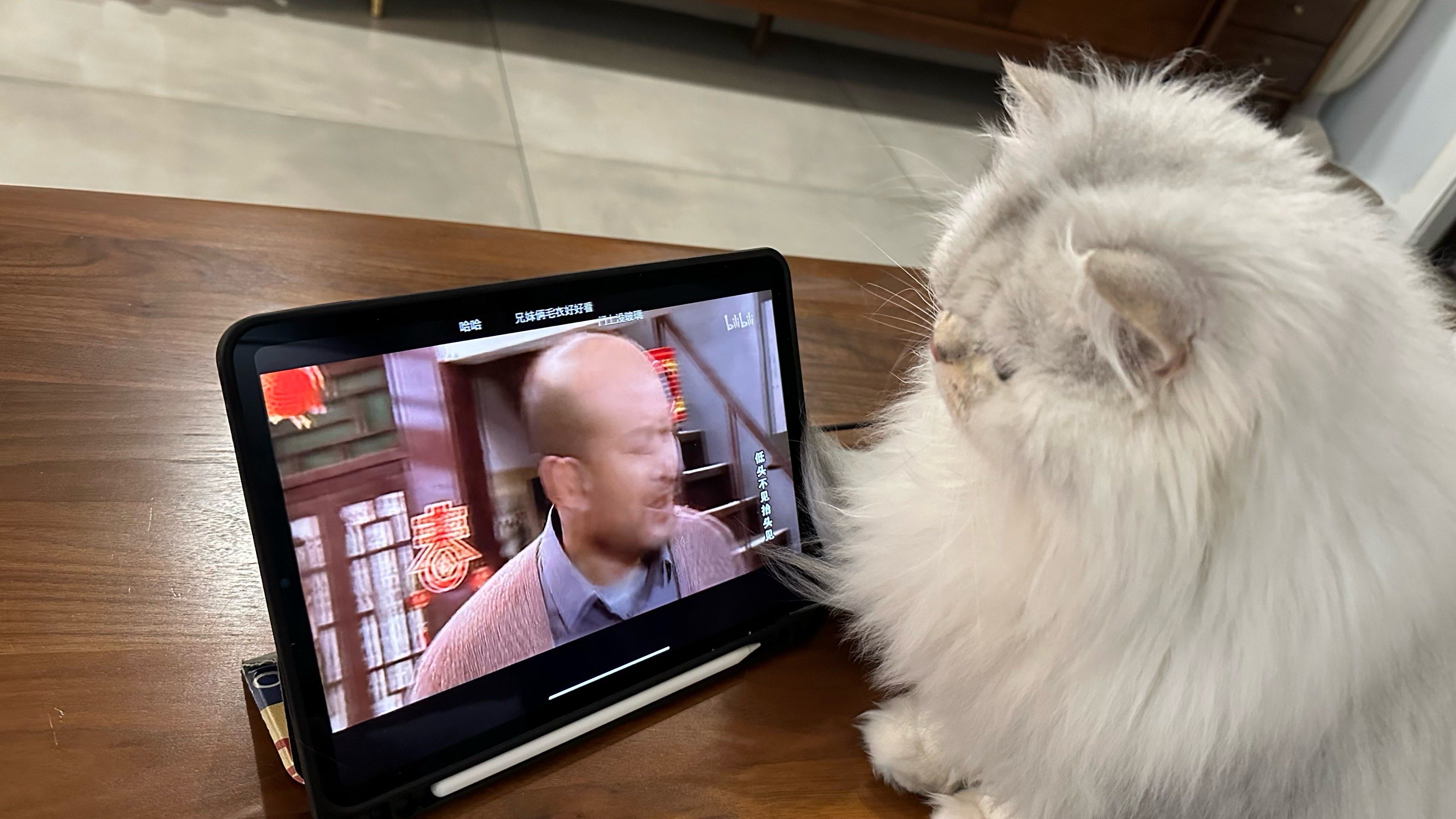 不需要会员的追剧软件