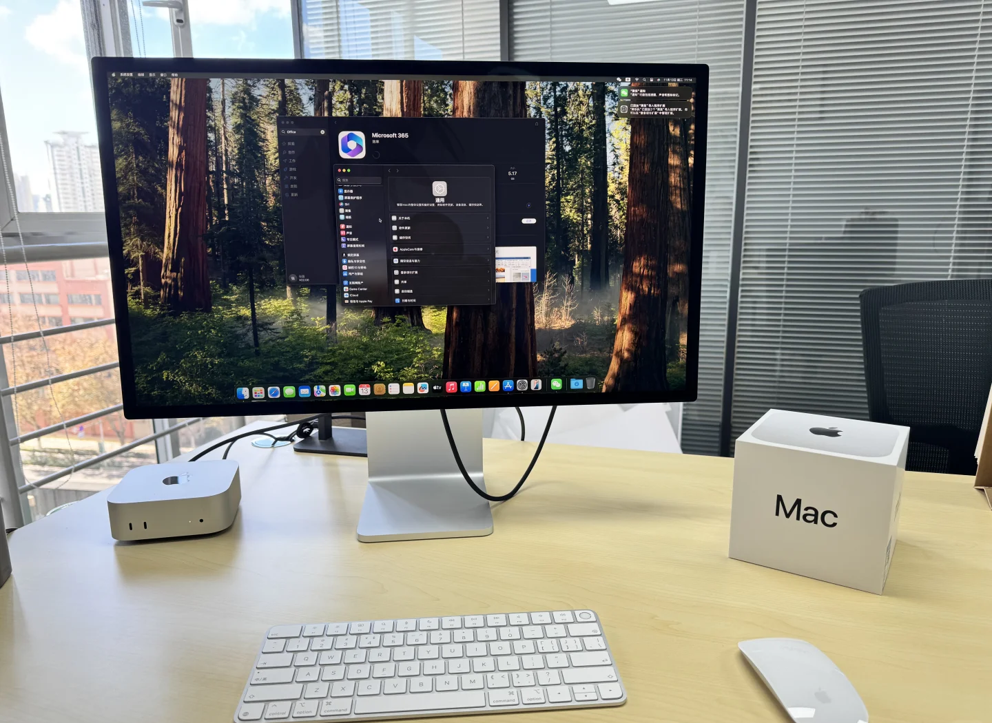 mac mini