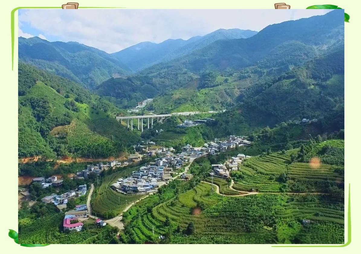 临沧现在怎么在大学门口约