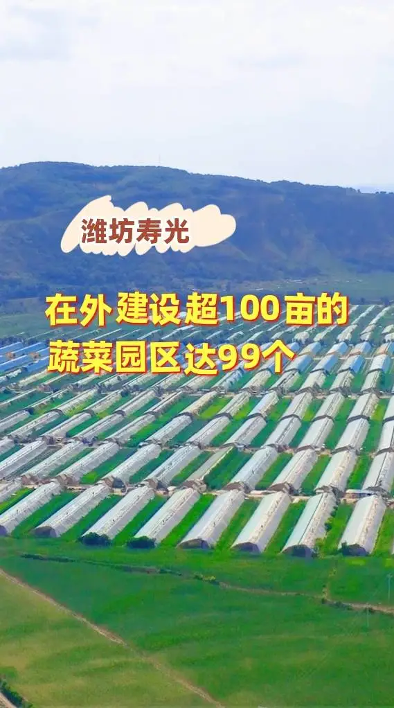 寿光蔬菜产业集团发展现状 寿光蔬菜产业集团商品交易所的运营优势