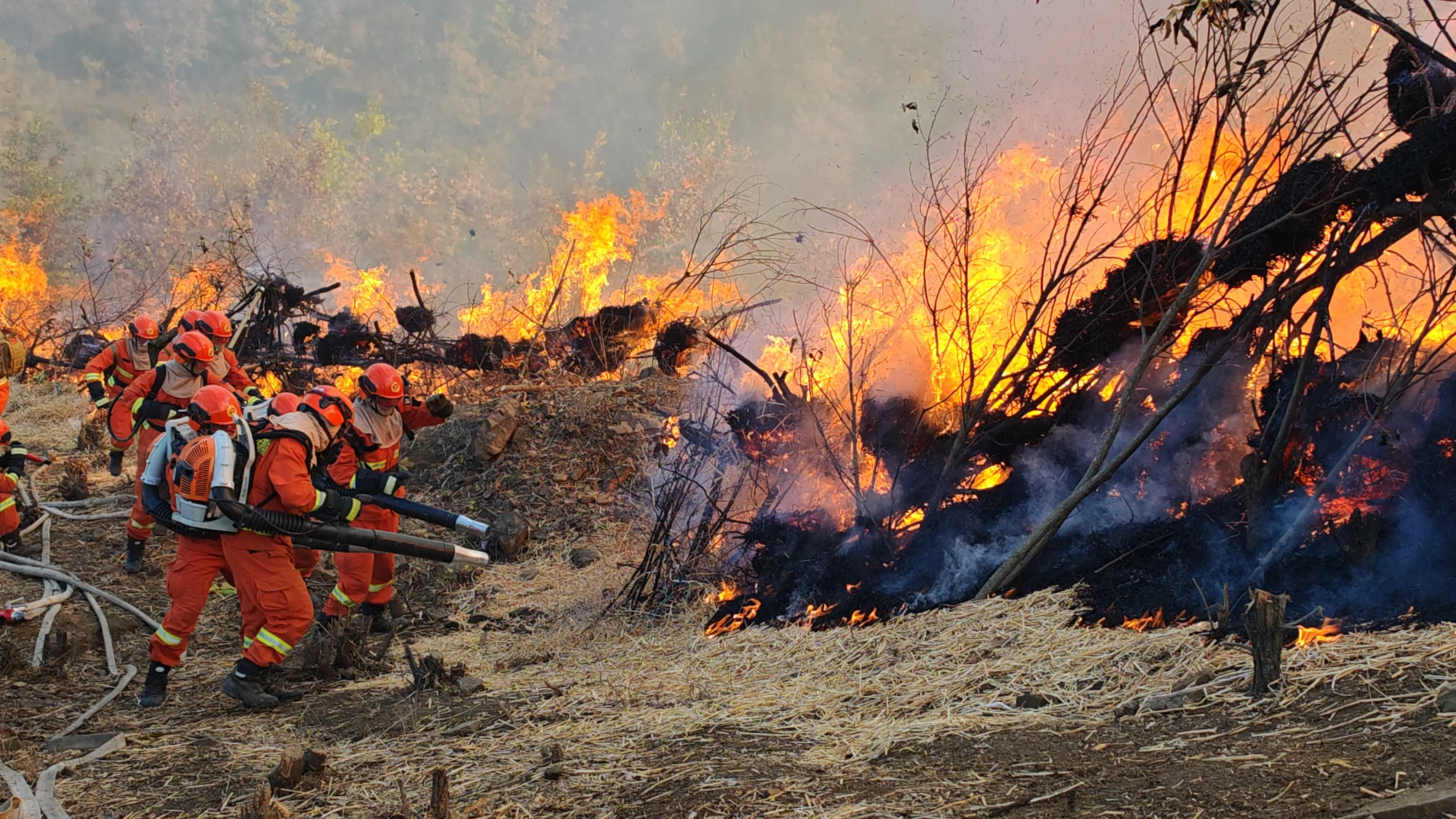 四川凉山森林火灾到底有多严重?为什么扑灭如此困难?