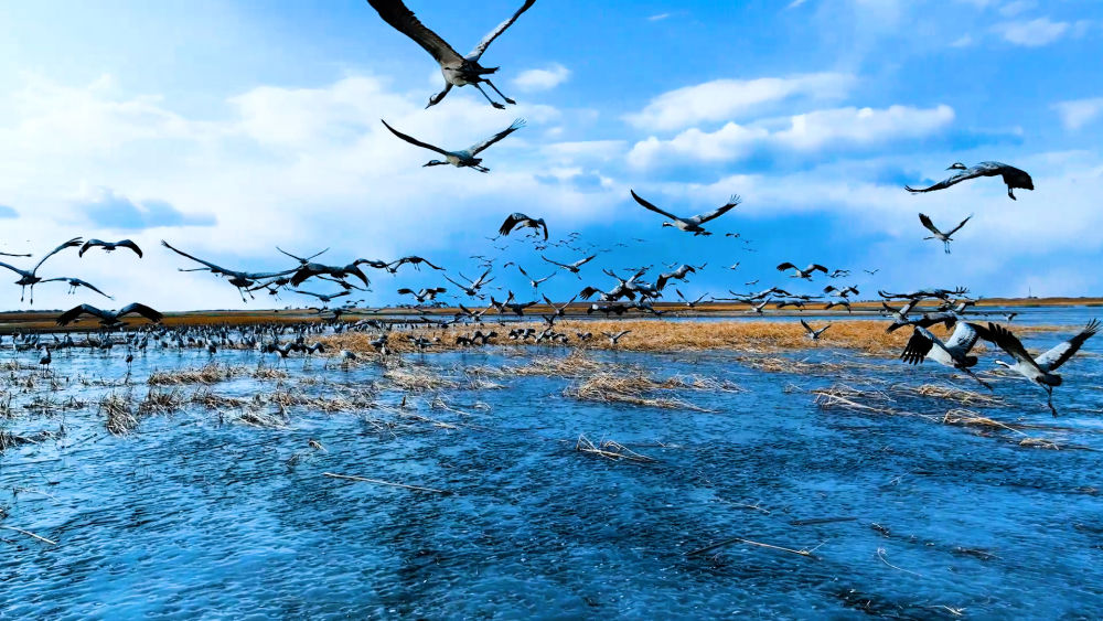 洮南女士做SPA含飞机大概多少钱 洮南女士做spa包含飞机大概多少钱