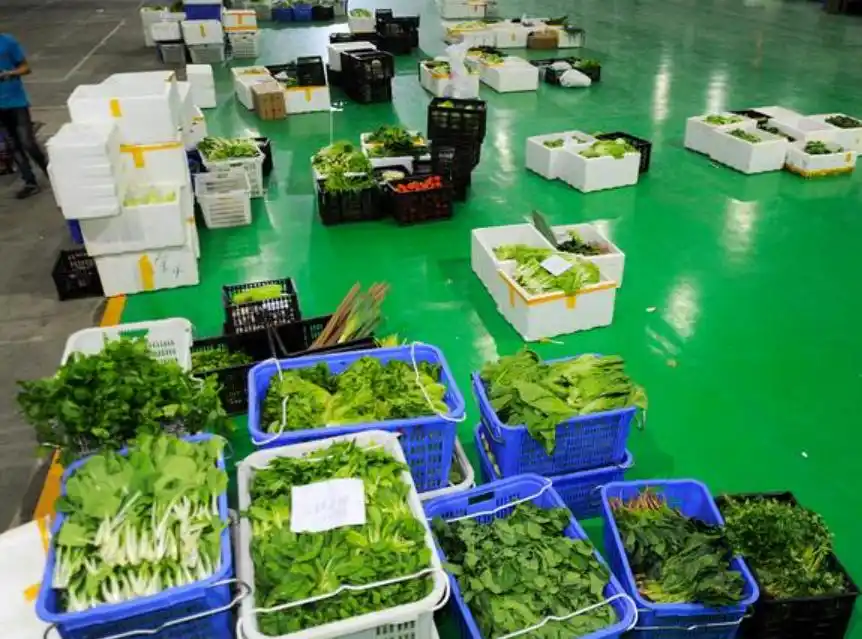 配送蔬菜公司