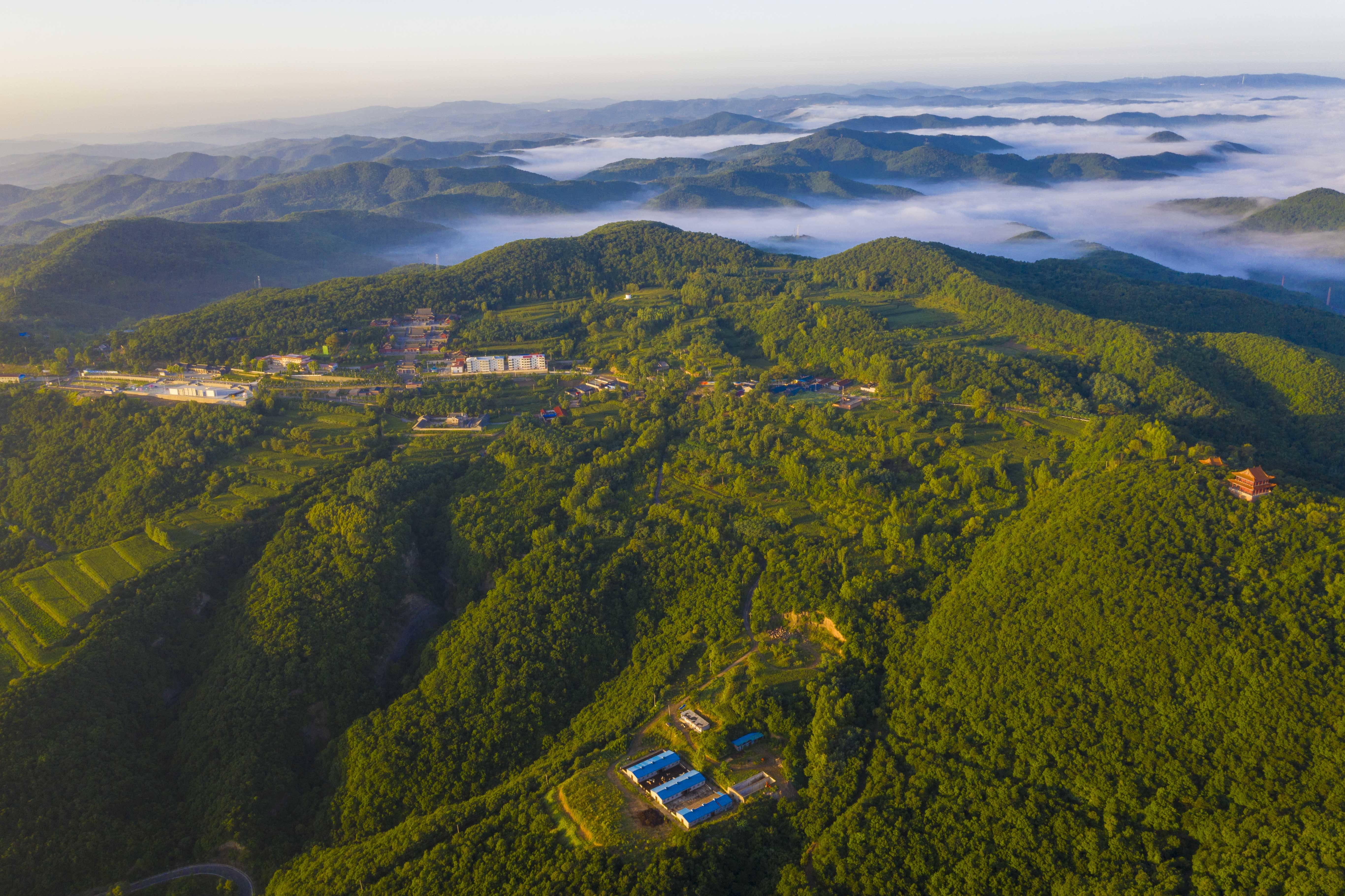 50元小树林夜宿体验全攻略与特色服务解析