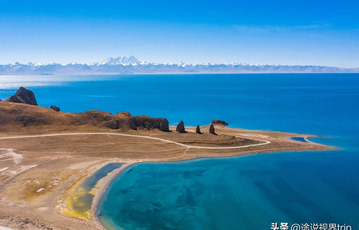 再次曝光：深圳新媛之家真的靠谱吗？专业博主深度探访与全面解析