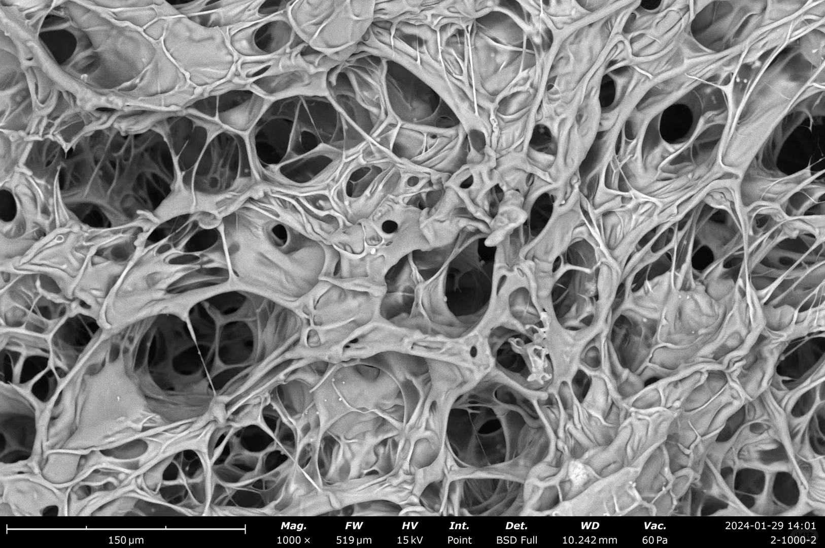 冷冻电镜为什么会在电子显微镜领域热起来?2017年...